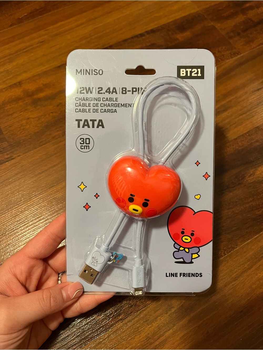 NWT TATA BT21 Line Friends Miniso 30 cm Charging Cable